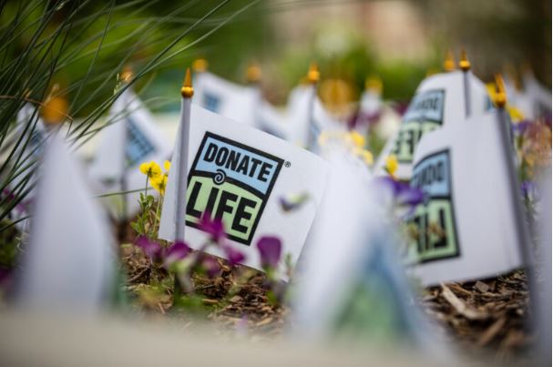 Sixty-nine individuals donated their organs at Vanderbilt University Medical Center in 2023, and they and their families were saluted on April 17 at the annual Donate Life Ceremony.